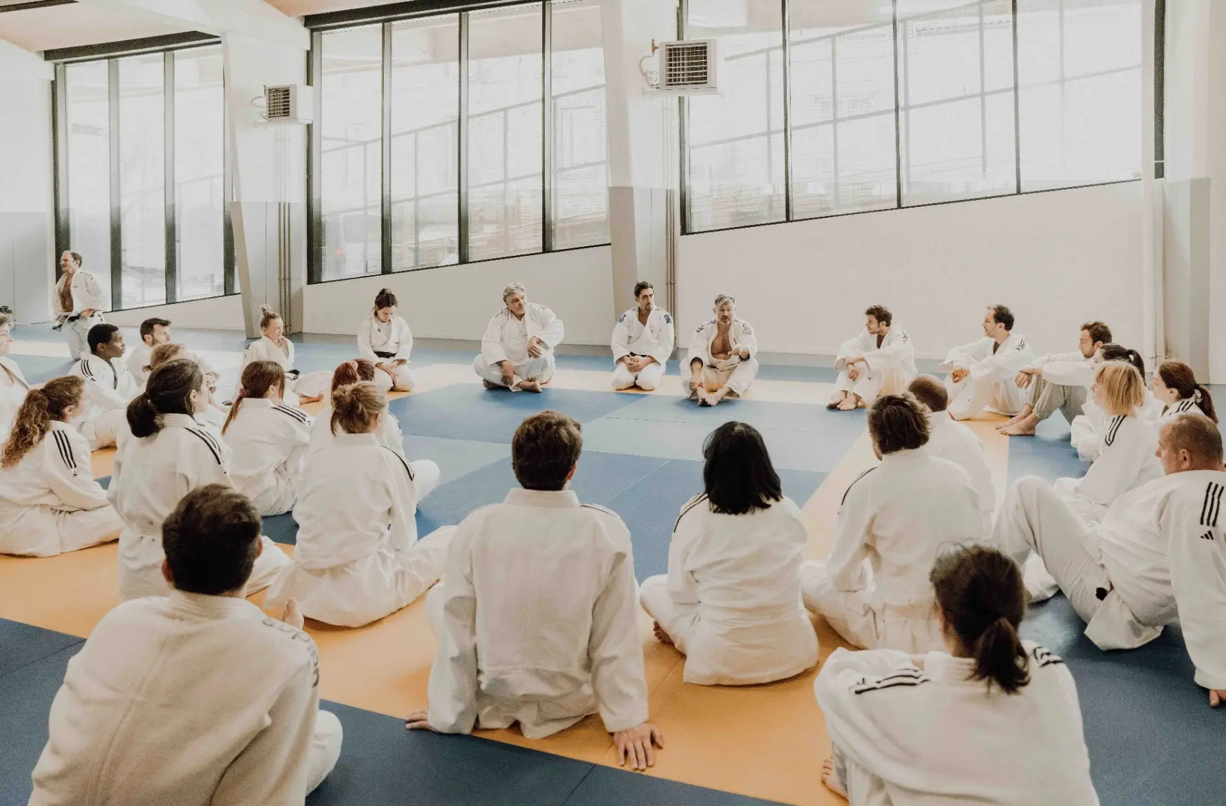 Intervention Judomimétisme en entreprise sur un tatami